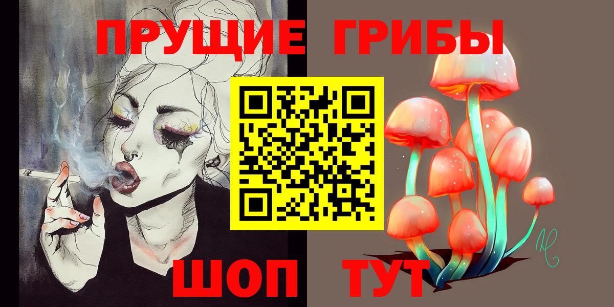 Псилоцибиновые грибы Psilocybine cubensis Сертолово
